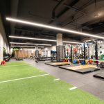 Functional Turf